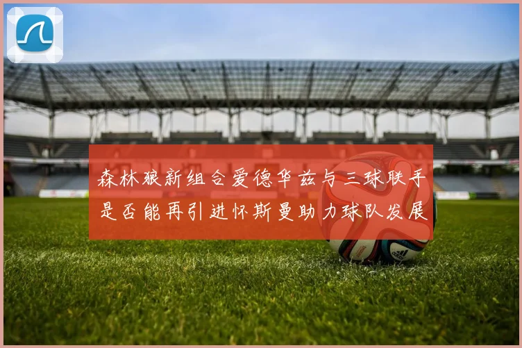 森林狼新组合爱德华兹与三球联手是否能再引进怀斯曼助力球队发展