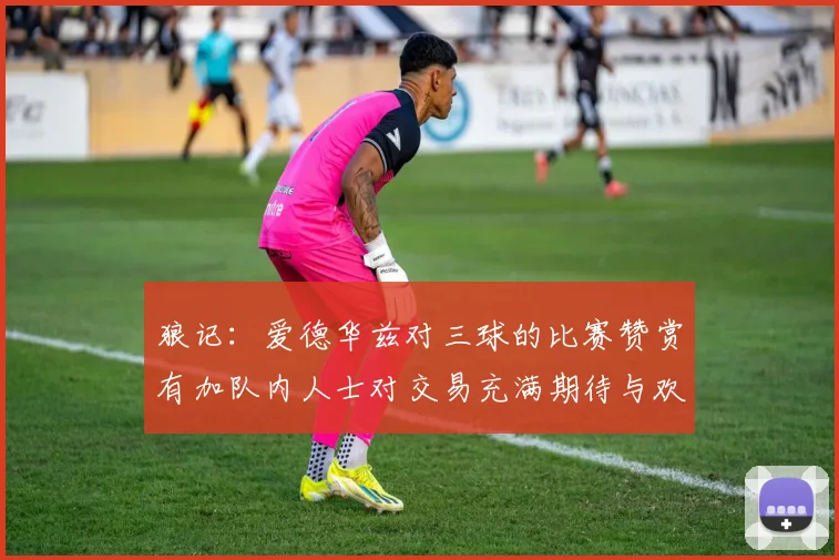 狼记：爱德华兹对三球的比赛赞赏有加队内人士对交易充满期待与欢欣